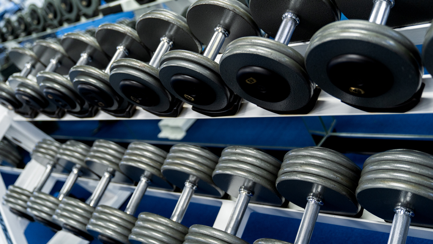 Dumbbells on a rack in a premium gym setting, showcasing high-end fitness equipment at The Compound Gym in Woodland Hills.